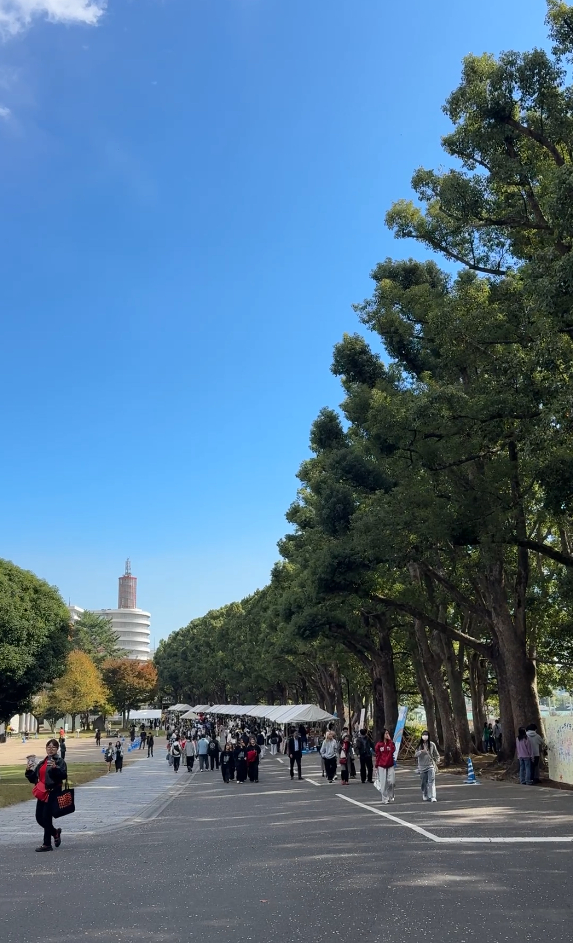 東海大学ホームカミングデー